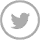 X (Twitter)