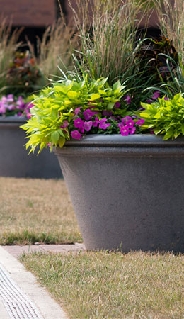 Planters