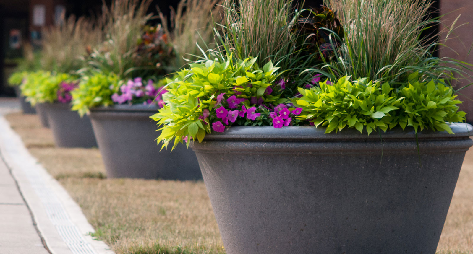 Concrete planters along a building entrance